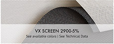 vx-screen-2900-5
