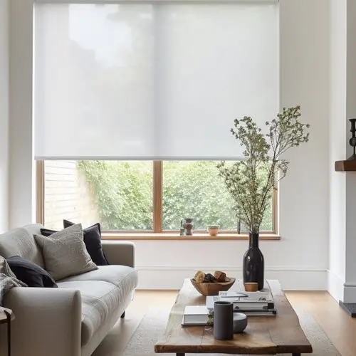 Everything You Need to Know About Screen Shades