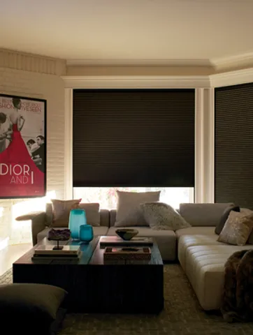 Blackout Blinds for Windows