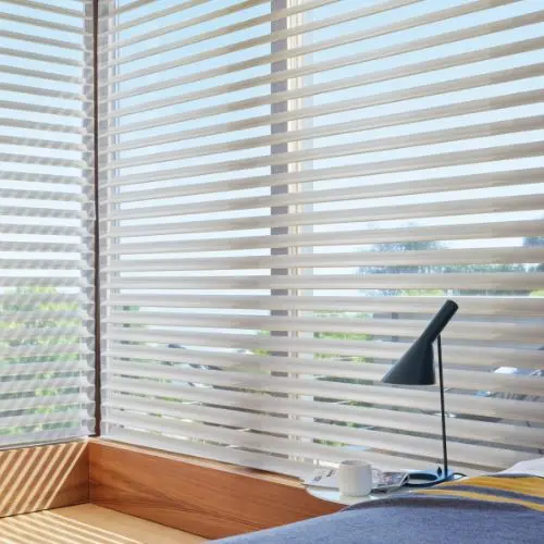 Ultimate Guide to Silhouette Window Shadings